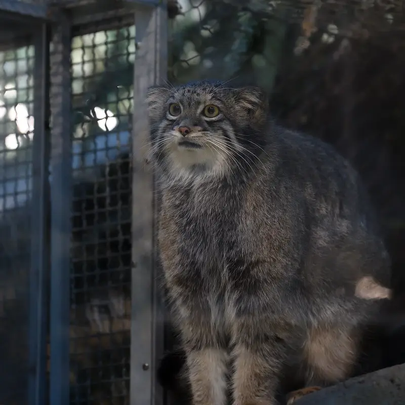 Фотография Ото в Царстве Животных Кобе