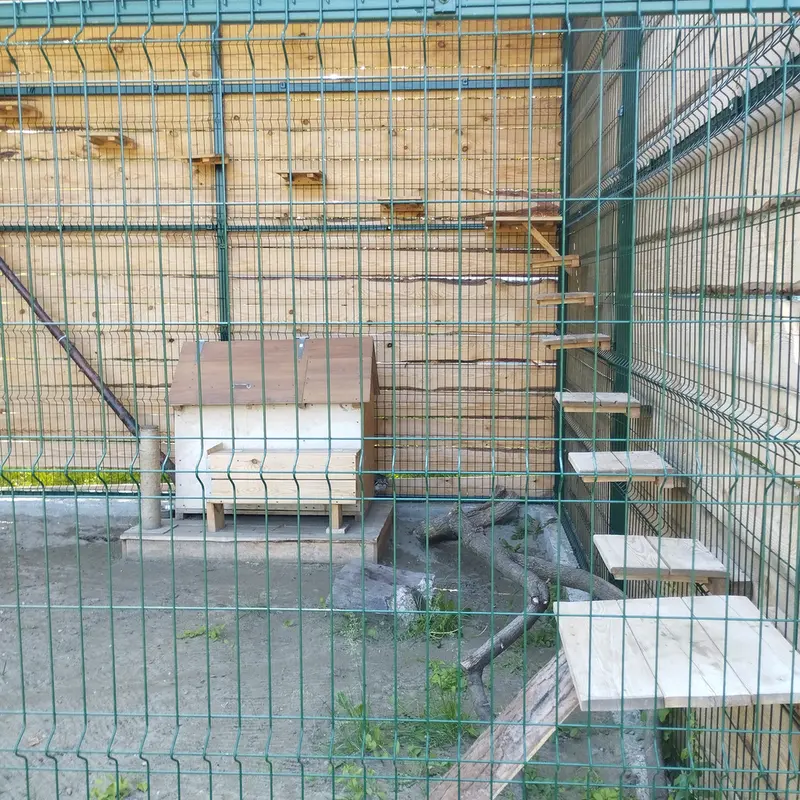 Фотография Чипа в Барнаульском Зоопарке «Лесная сказка»