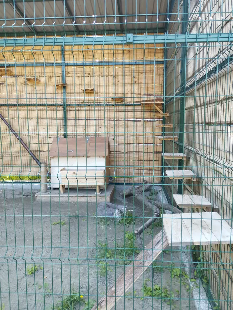 Фотография Чипа в Барнаульском Зоопарке «Лесная сказка»