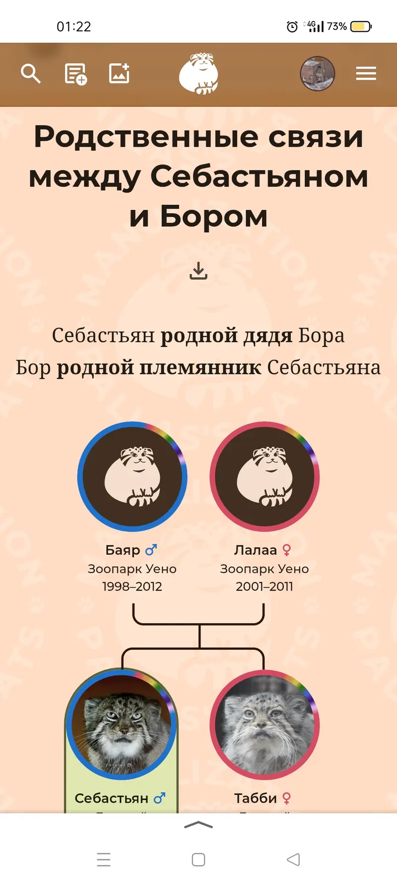 Фотография с манулом