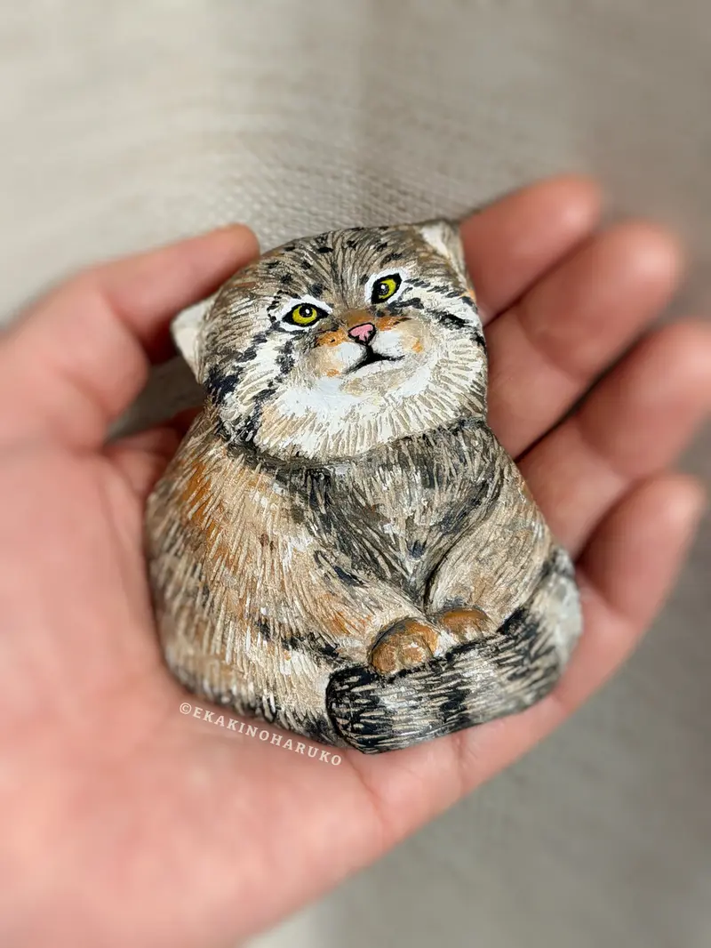 Фотография с манулом