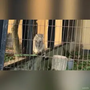 Фотография Хидэ в Зоопарке Асахияма