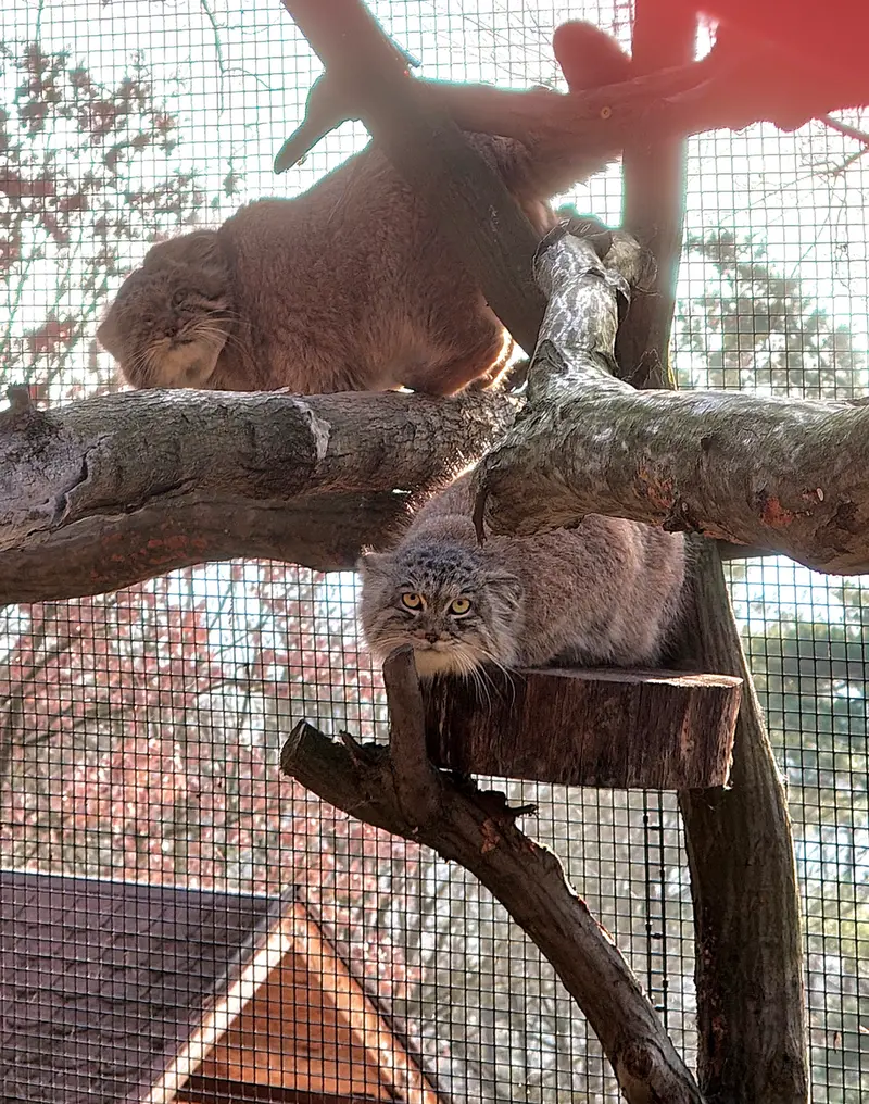 Фотография Музтау и Ариуны в Зоопарке Брно