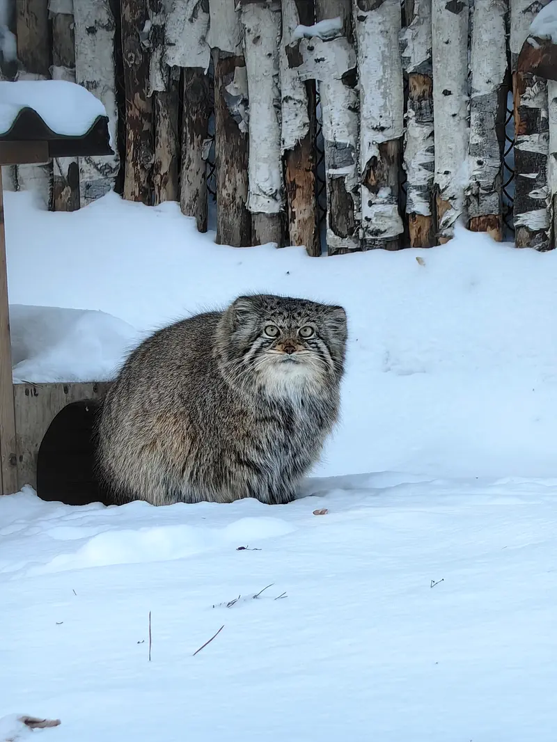 Фотография Евы в Новосибирском Зоопарке