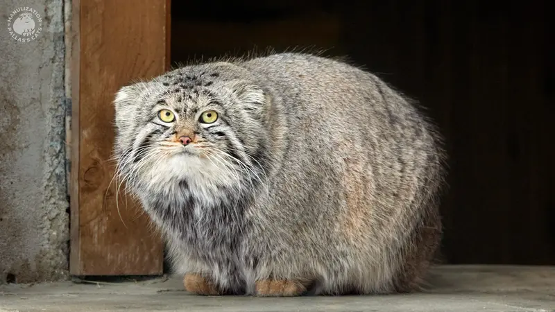 Фотография Тимофея в Московском Зоопарке