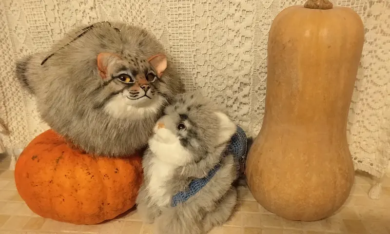 Фотография с манулом