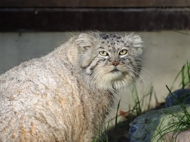 Фотография Мануэля в Гданском Зоопарке