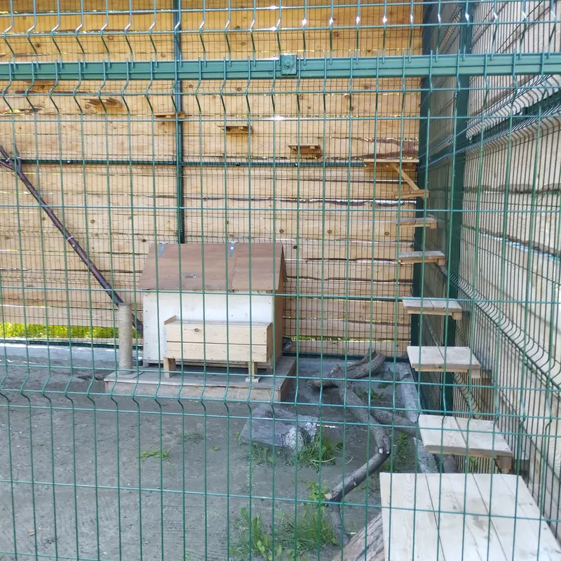 Фотография Чипа в Барнаульском Зоопарке «Лесная сказка»