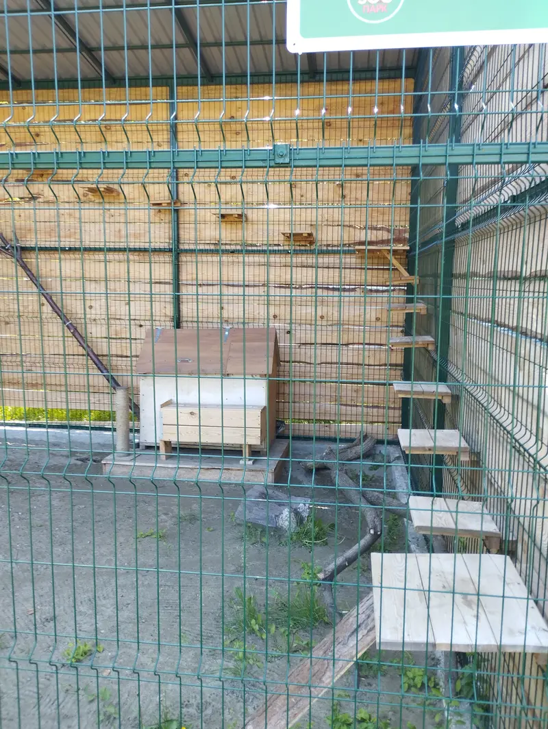 Фотография Чипа в Барнаульском Зоопарке «Лесная сказка»