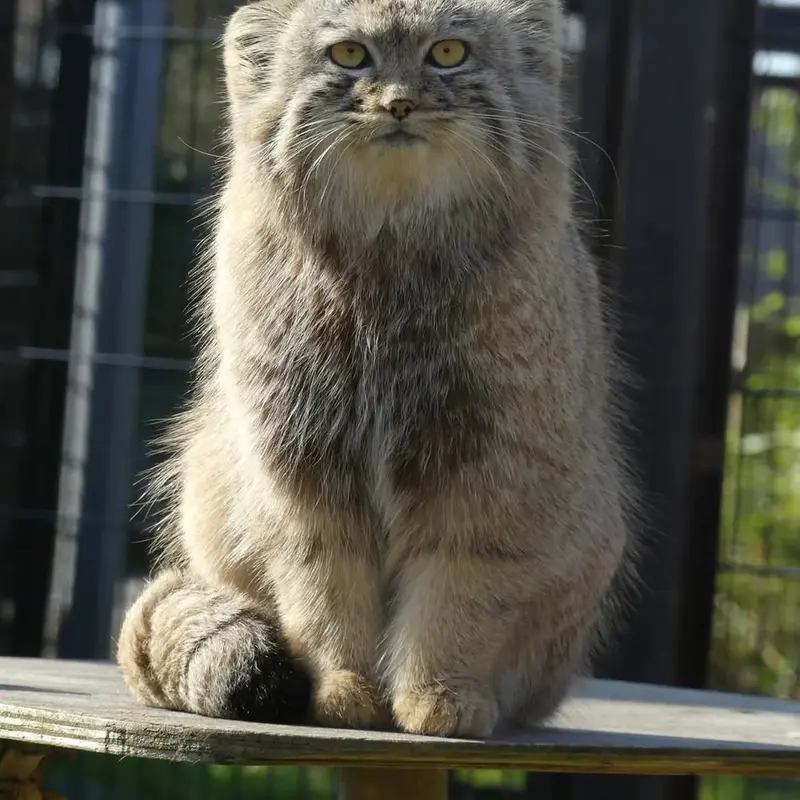 Фотография Аарона в Био-Топия Дюнкерке