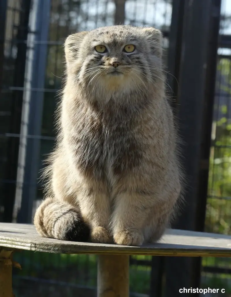 Фотография Аарона в Био-Топия Дюнкерке