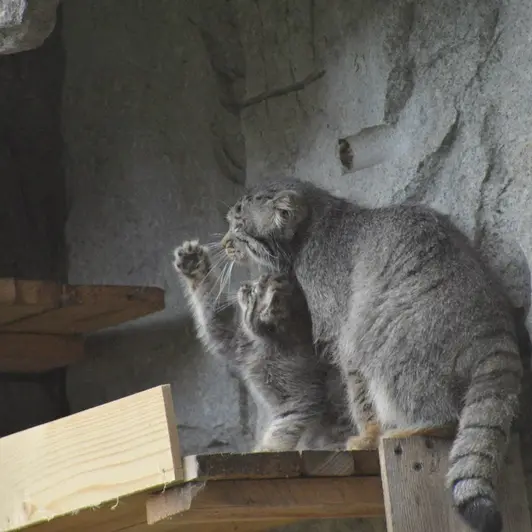 Фотография Варвары и Дарлая в Московском Зоопарке