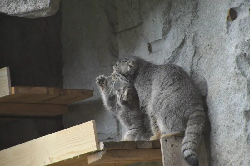 Фотография Варвары и Дарлая в Московском Зоопарке