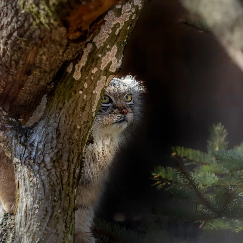 Фотография Мелиссы в Литовском Зоопарке