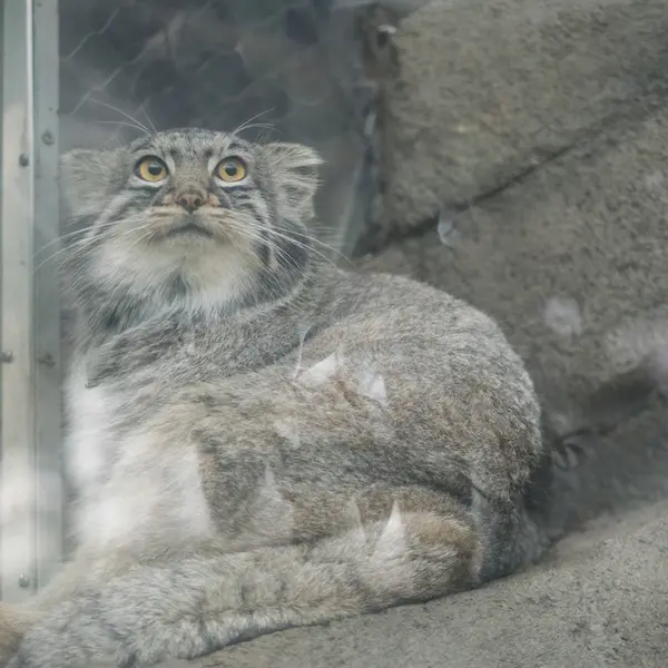 Фотография Мей в Царстве Животных Кобе