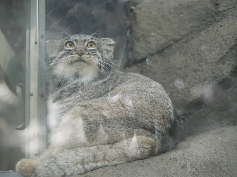 Фотография Мей в Царстве Животных Кобе