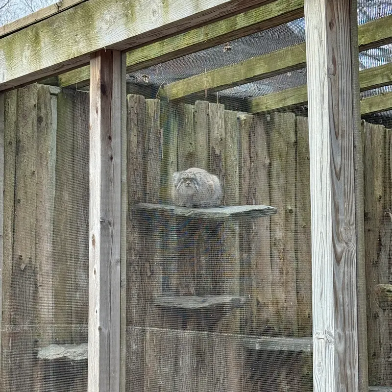 Фотография Пази в Зоопарке Поттер-парка