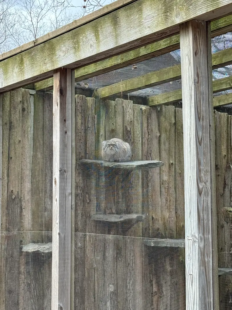 Фотография Пази в Зоопарке Поттер-парка