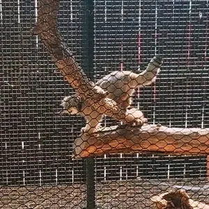 Фотография Каза в Зоопарке Великих равнин