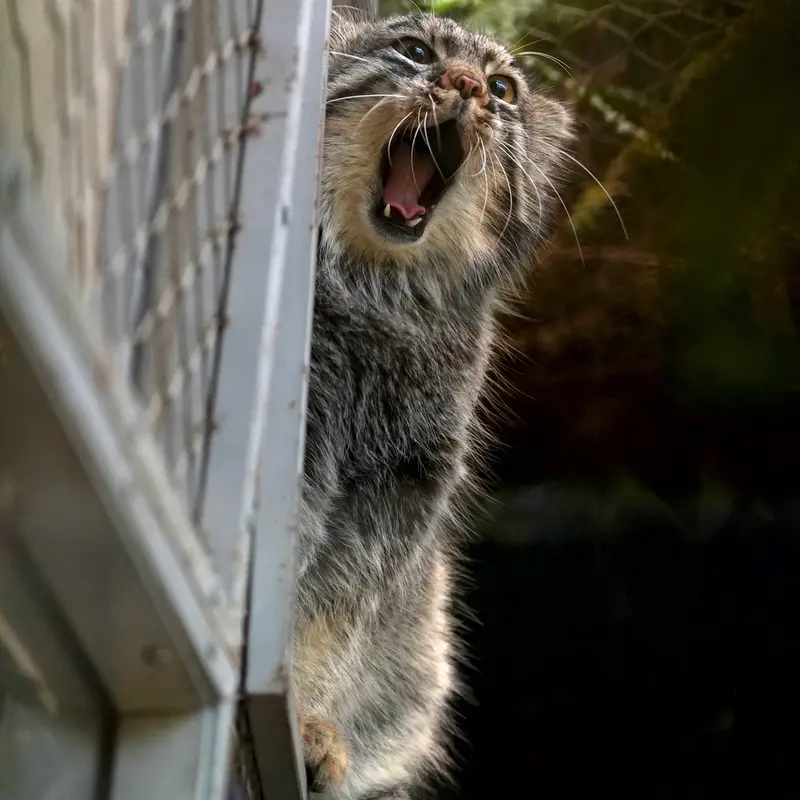 Фотография Мей в Царстве Животных Кобе
