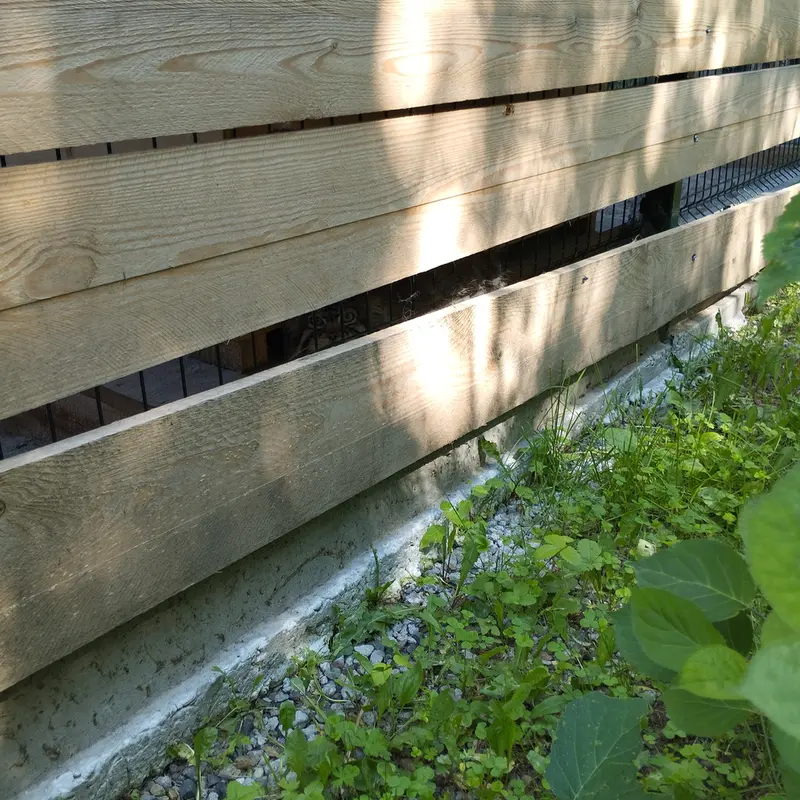 Фотография Чипа в Барнаульском Зоопарке «Лесная сказка»