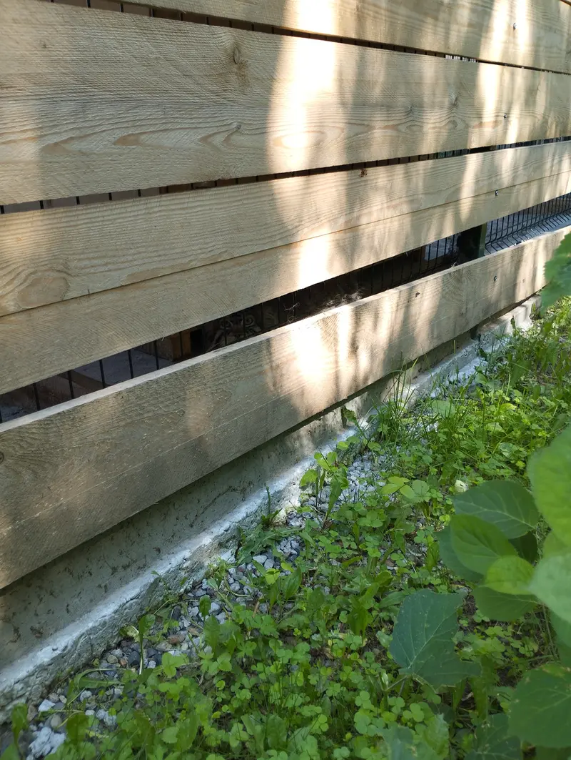 Фотография Чипа в Барнаульском Зоопарке «Лесная сказка»