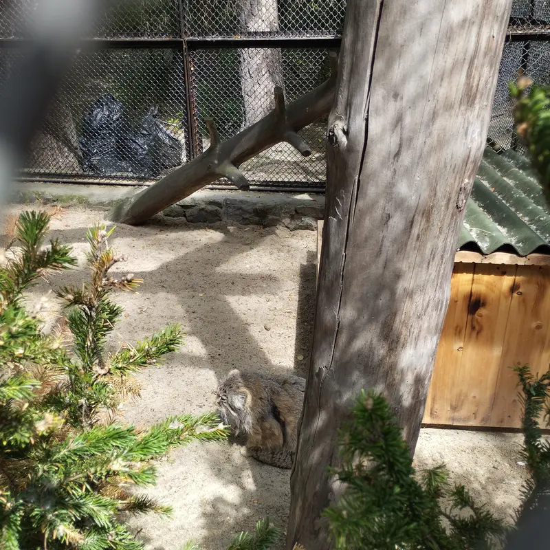 Фотография Зеленогорска в Новосибирском Зоопарке