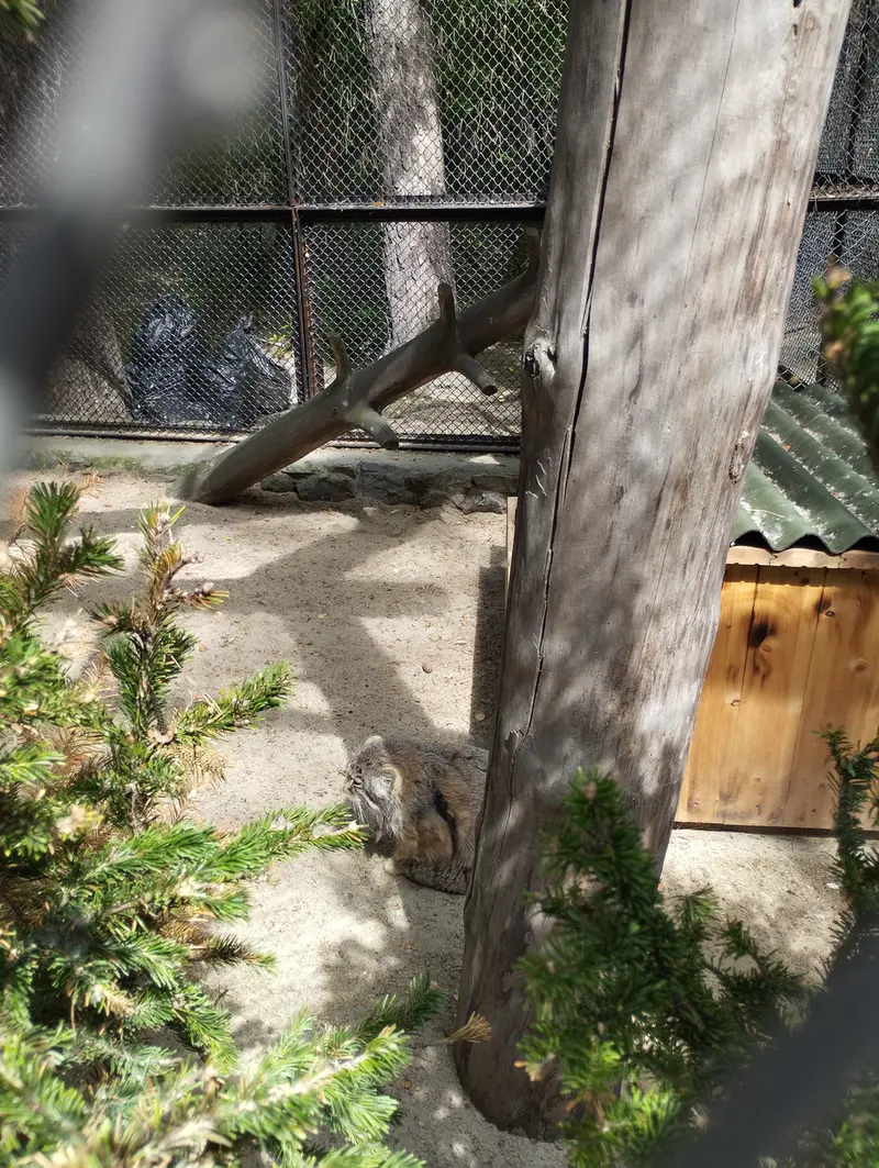 Фотография Зеленогорска в Новосибирском Зоопарке