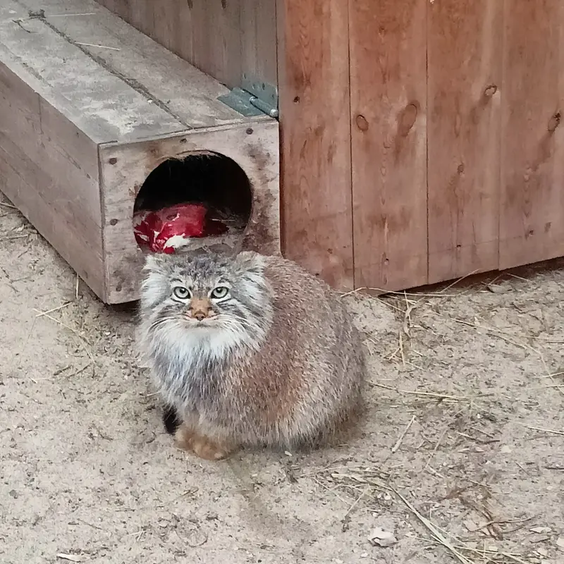 Фотография Габи в Новосибирском Зоопарке