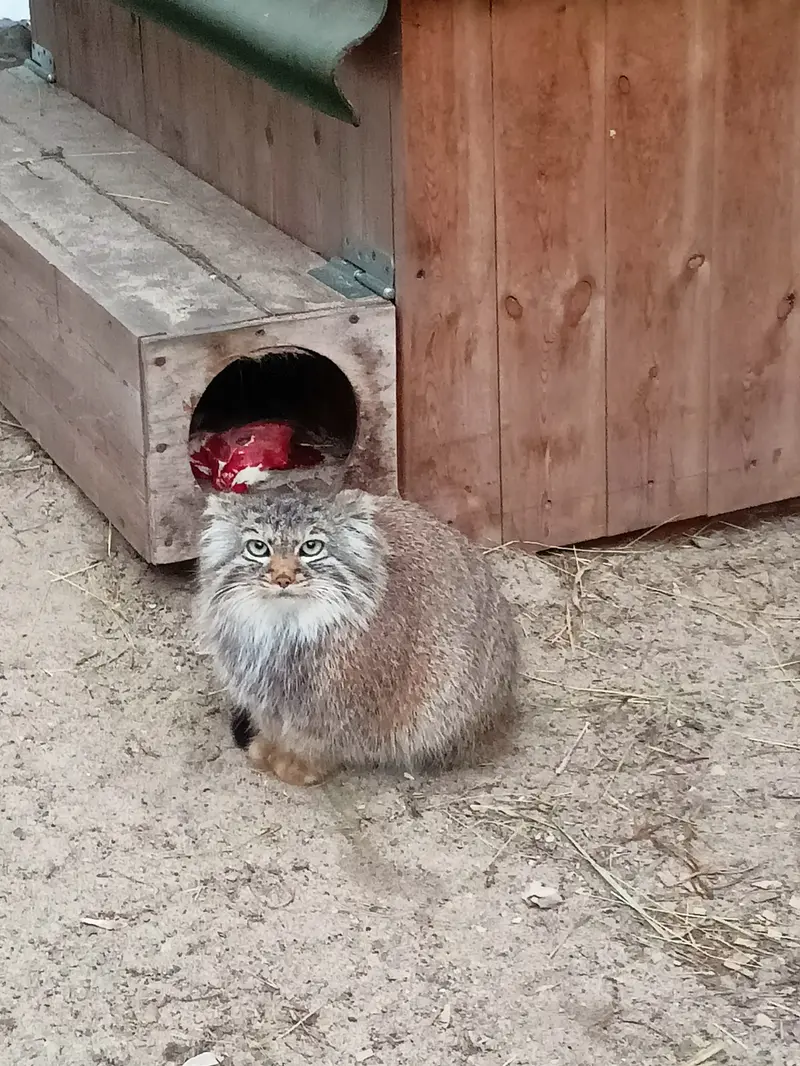 Фотография Габи в Новосибирском Зоопарке