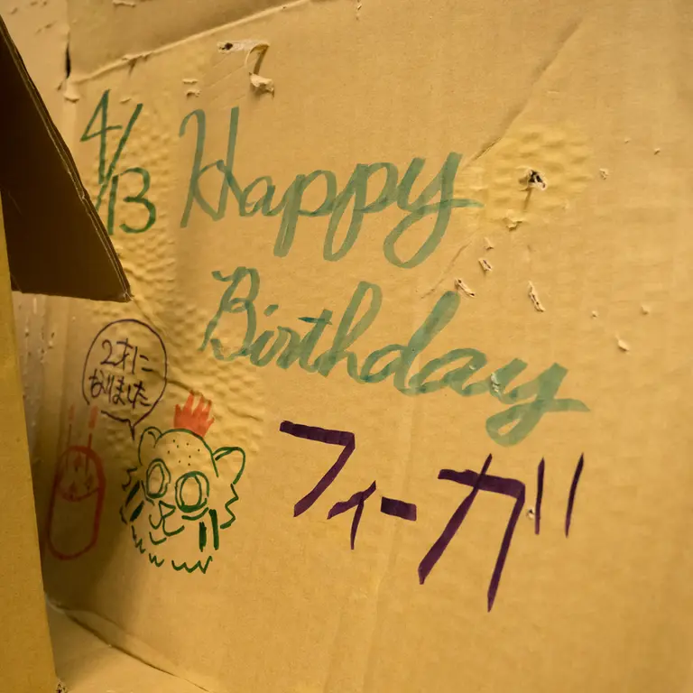 Фотография Фиги в Зоопарке Ногеяме