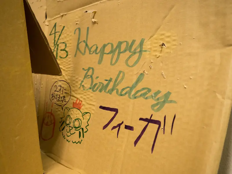 Фотография Фиги в Зоопарке Ногеяме