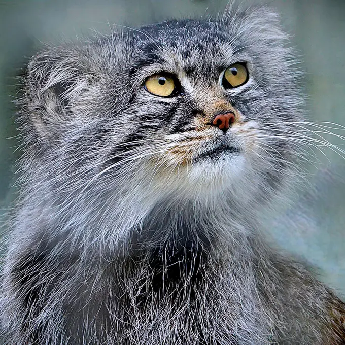 Фотография Алдана в Зи-Зуу