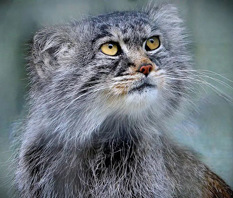 Фотография Алдана в Зи-Зуу