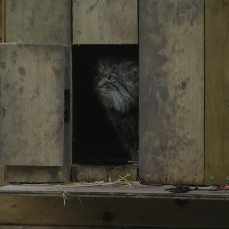 Фотография Алтая в Лэйклэнде Вайлдлайф Оазисе