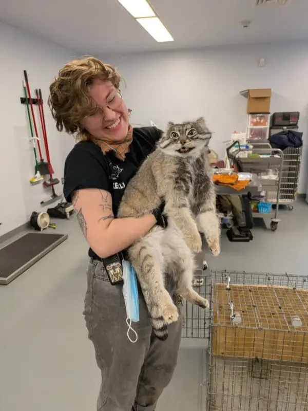 Фотография Пабу в Верхнеозерском Зоопарке