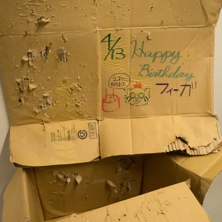 Фотография Фиги в Зоопарке Ногеяме