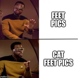 Фотография с манулом