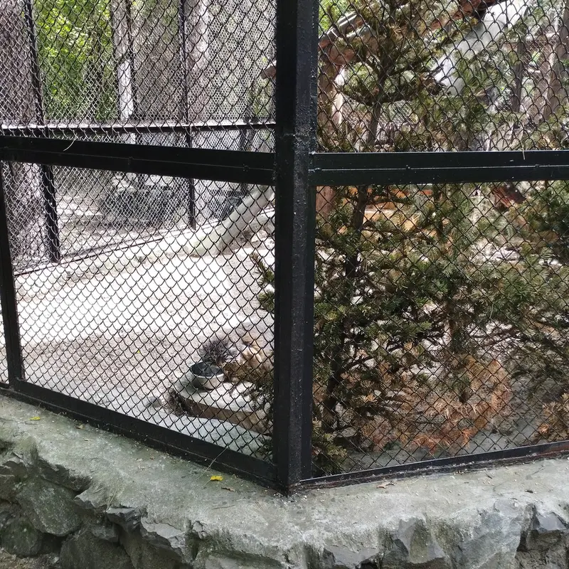 Фотография Зеленогорска в Новосибирском Зоопарке