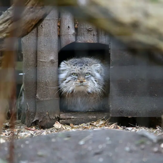 Фотография Джесси в Варшавском Зоопарке