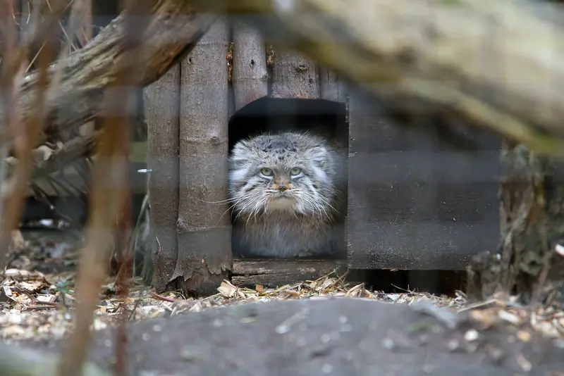 Фотография Джесси в Варшавском Зоопарке