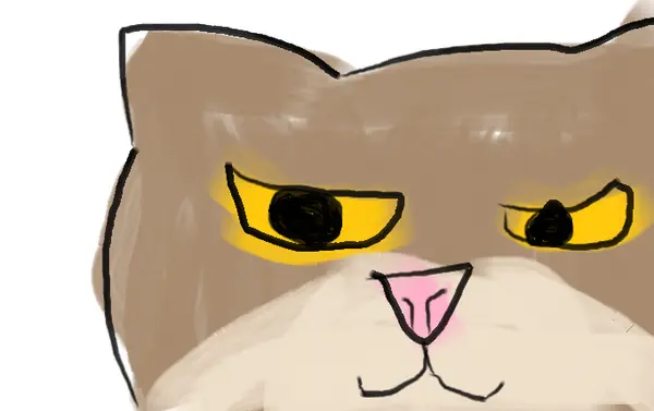 Фотография с манулом