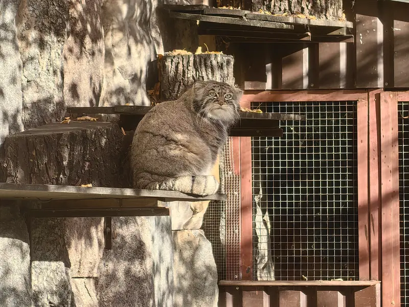 Фотография Тимофея в Московском зоопарке
