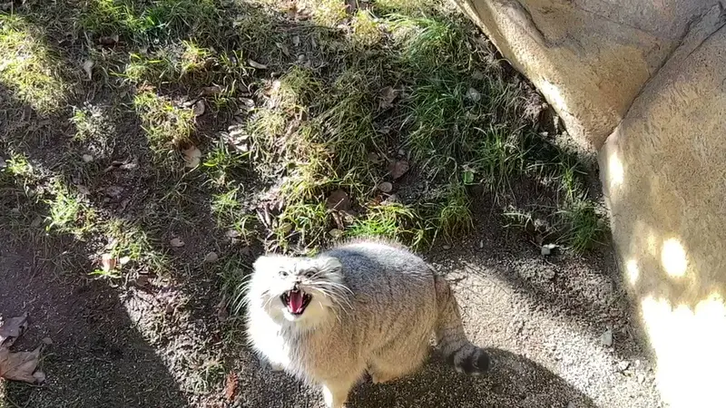 Фотография Полли в Царстве Животных Насу