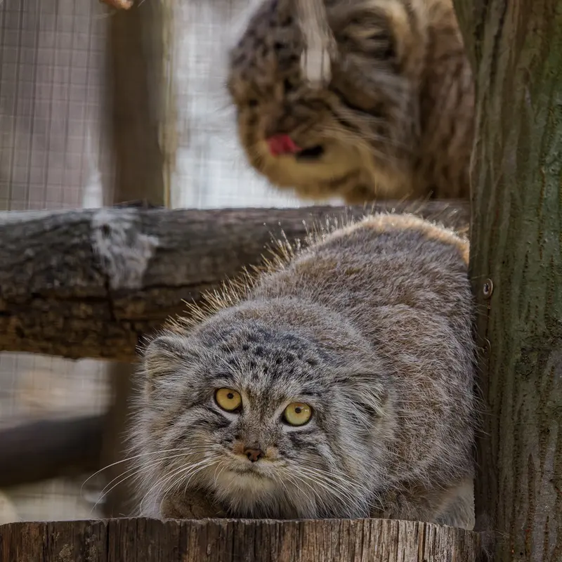 Фотография Ариуны в Зоопарке Брно