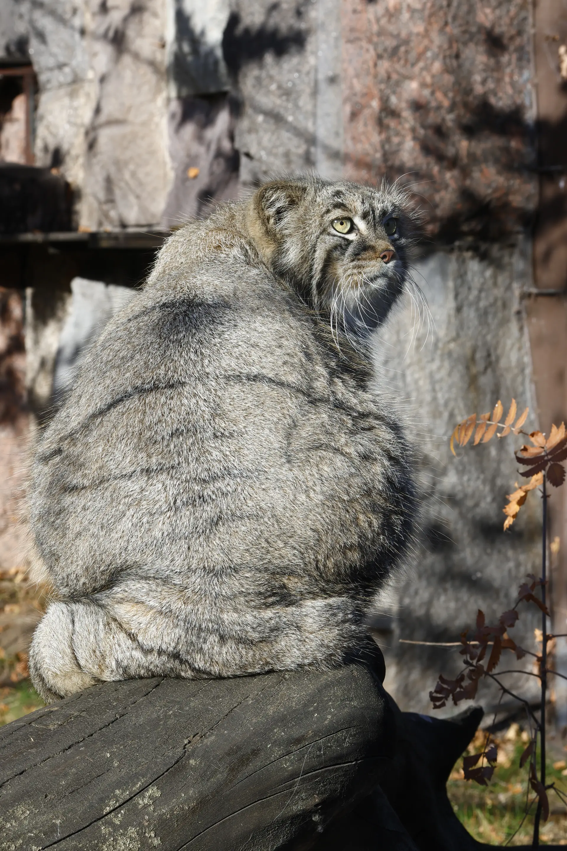 P4WklmK9BJDrxtXu_mw-1920.webp