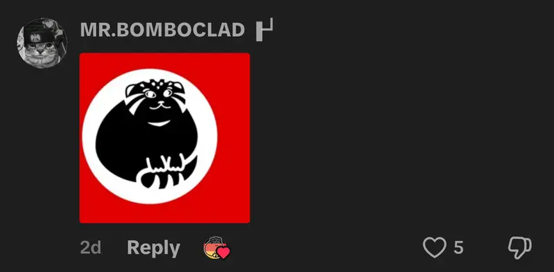 Фотография с манулом