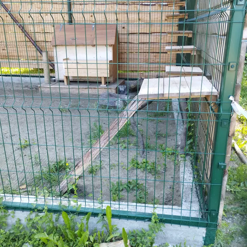 Фотография Чипа в Барнаульском Зоопарке «Лесная сказка»