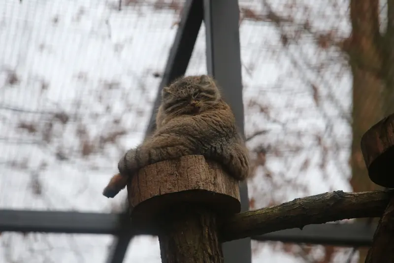 Фотография Улы в Гданском Зоопарке