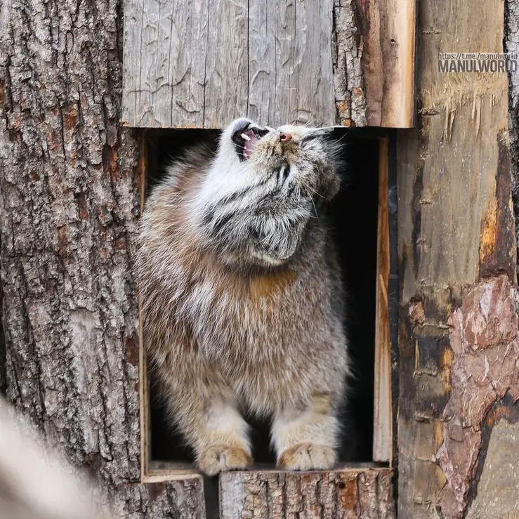 Фотография Кая в Зоопарке Красная река